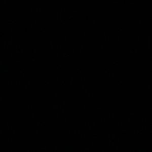 Meet your Posher, Bryce